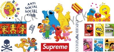 Y13891